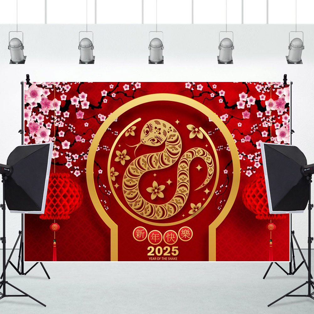 2025 Happy New Year Photograph - Photography Of The Year 2025 review and price