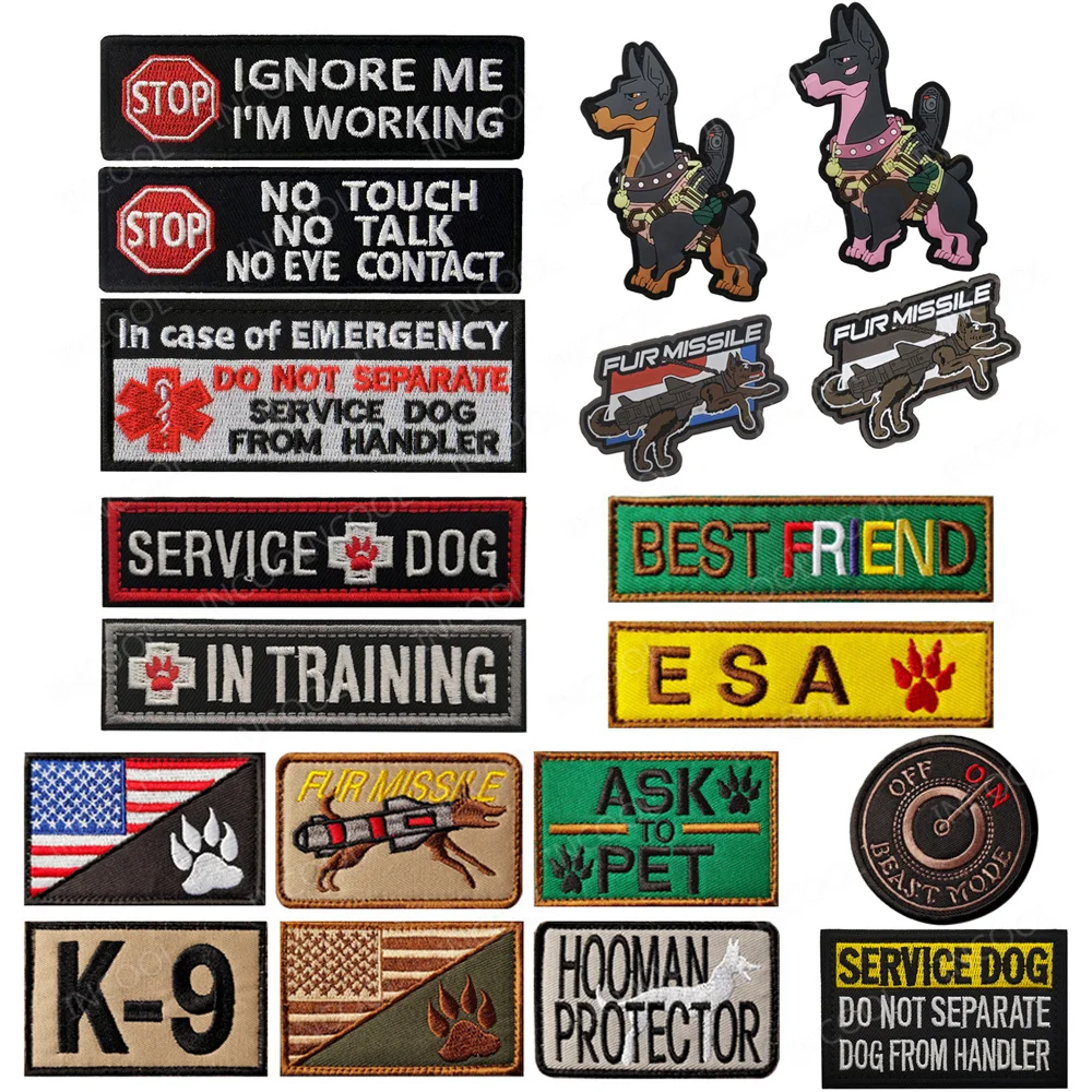 Best Friend ESA Service Dog Wo - Photography Job review and price