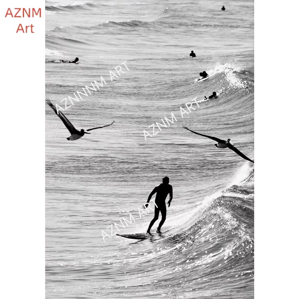 1PC ，Fine Surfing Black and Wh - Photography Class review and price