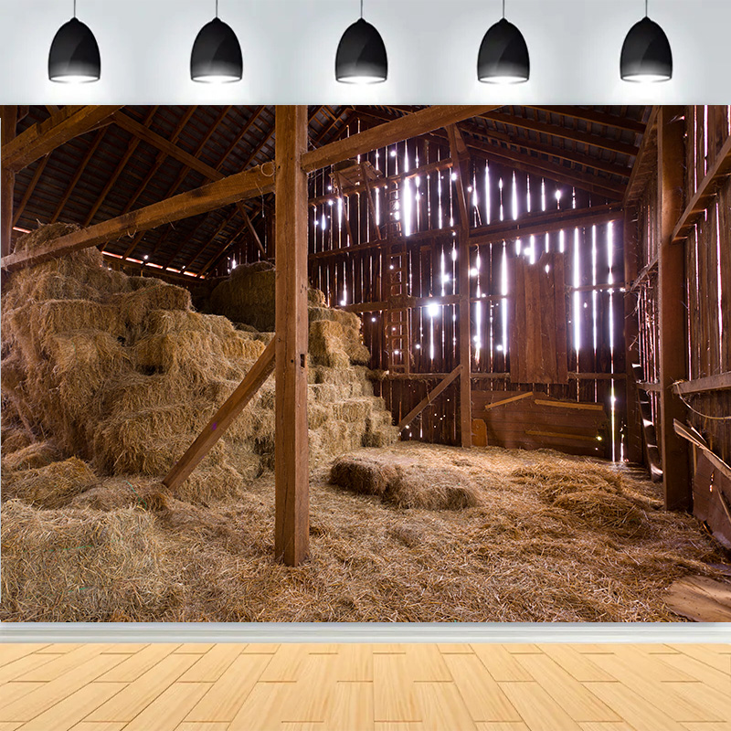 Western Cowboy Charm of the Co - Photography Backdrop Muslin review and price