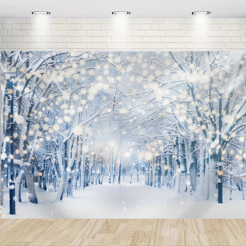 Merry Christmas Winter Snowy F - Photography Of The Year 2025 review and price